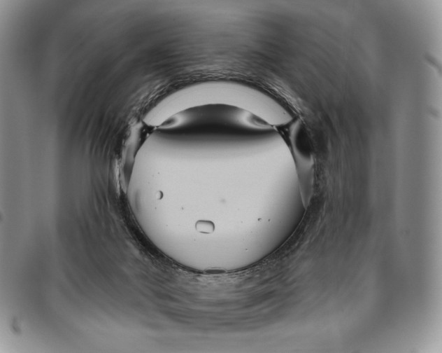 X0000096660022200803041210