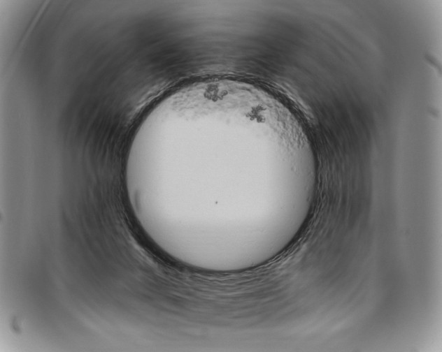 X0000096660024200803041210