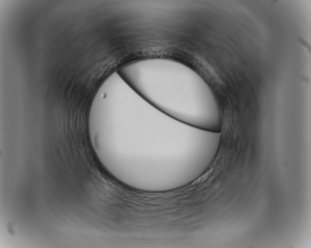 X0000096660025200803041210