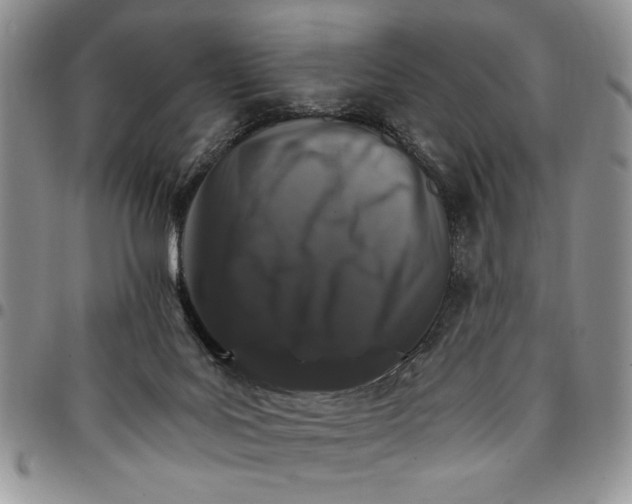 X0000096660027200803041210