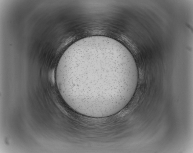 X0000096660028200803041210