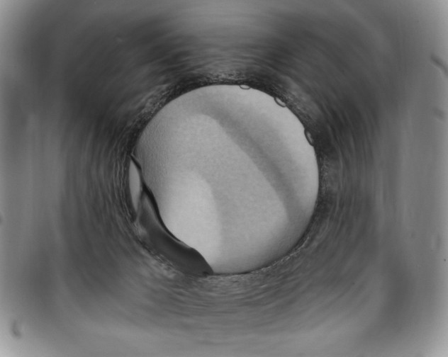 X0000096660029200803041210