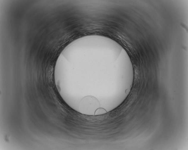 X0000096660030200803041210