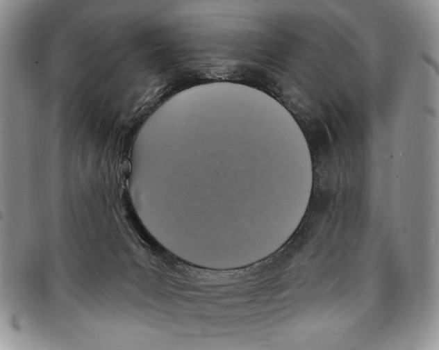 X0000096660031200803041210