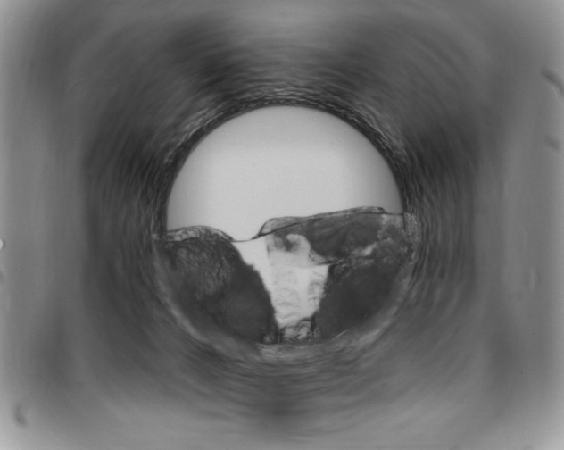 X0000096660032200803041210