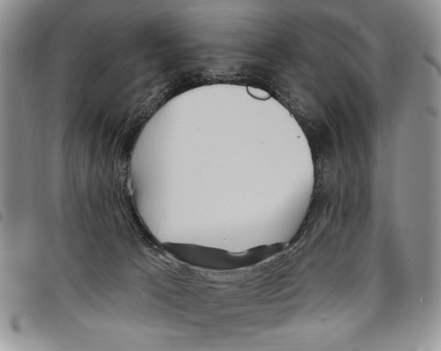 X0000096660033200803041210