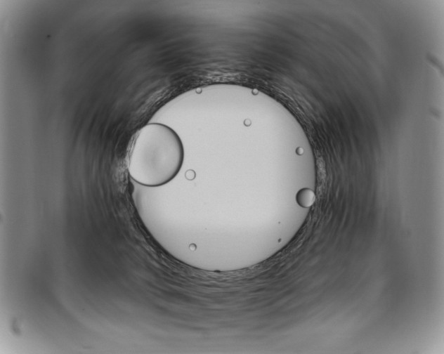 X0000096660034200803041210