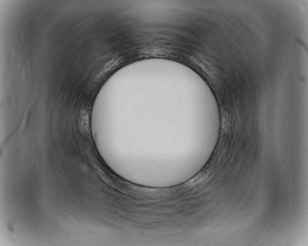 X0000096660036200803041210