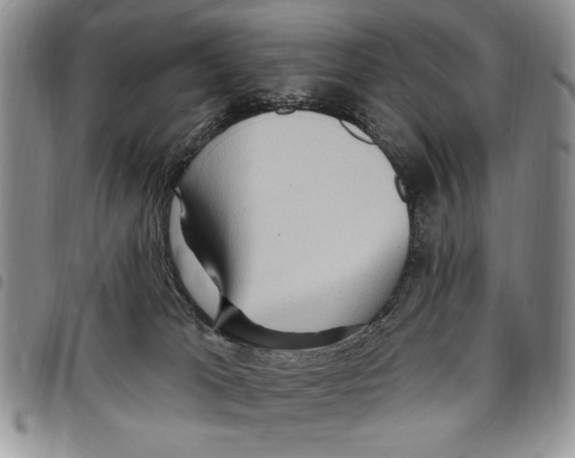 X0000096660037200803041210