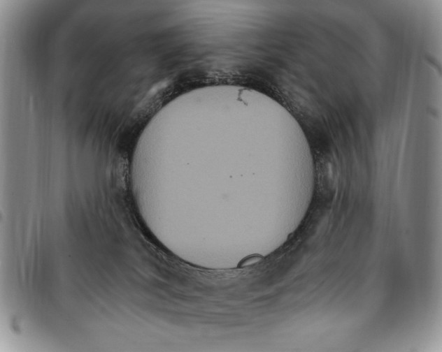 X0000096660038200803041210