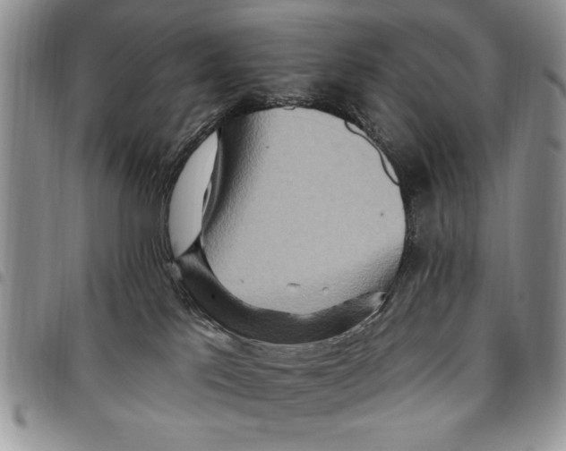 X0000096660041200803041210