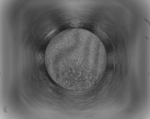 X0000096660043200803041210