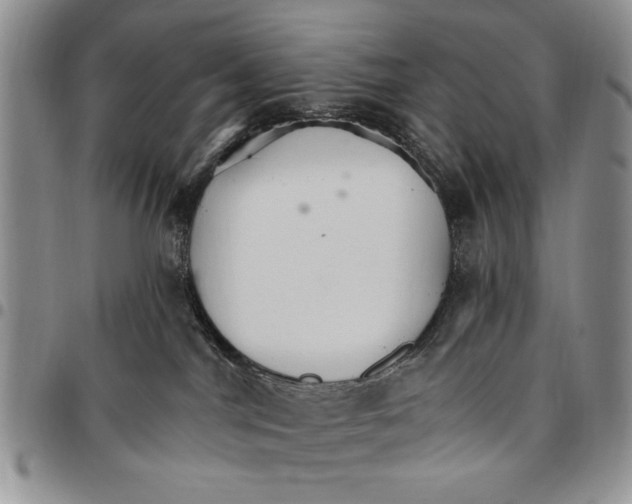 X0000096660044200803041210