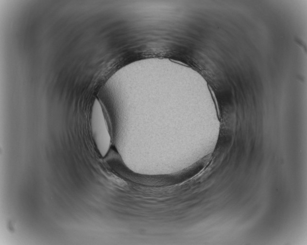 X0000096660045200803041210