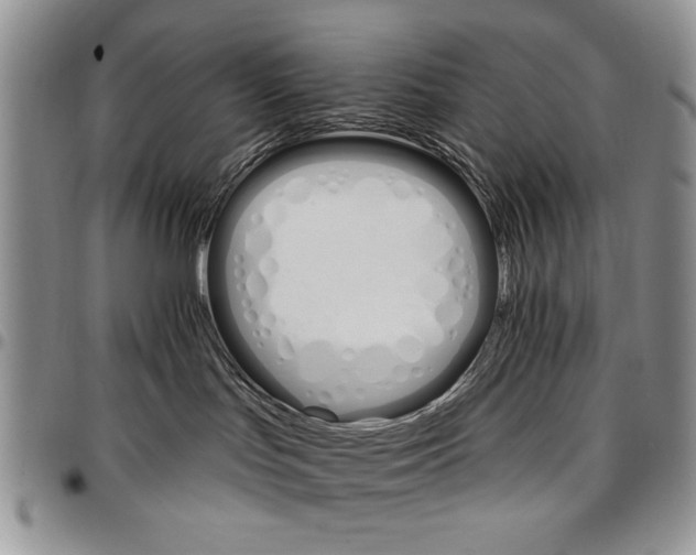 X0000096660047200803041210