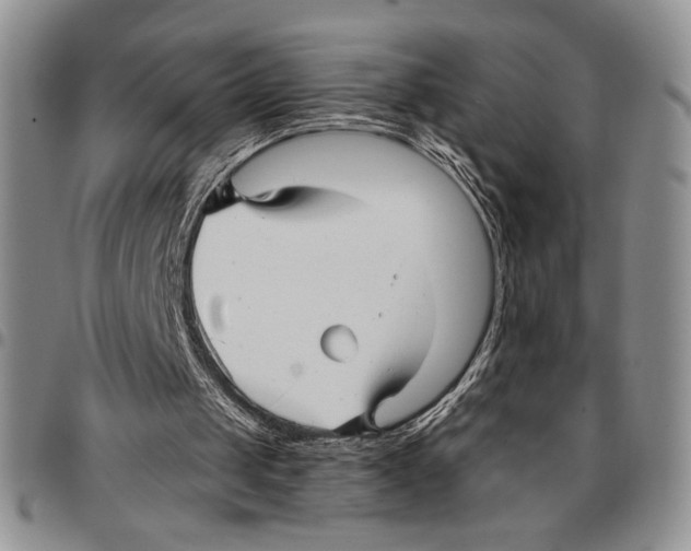 X0000096660049200803041209