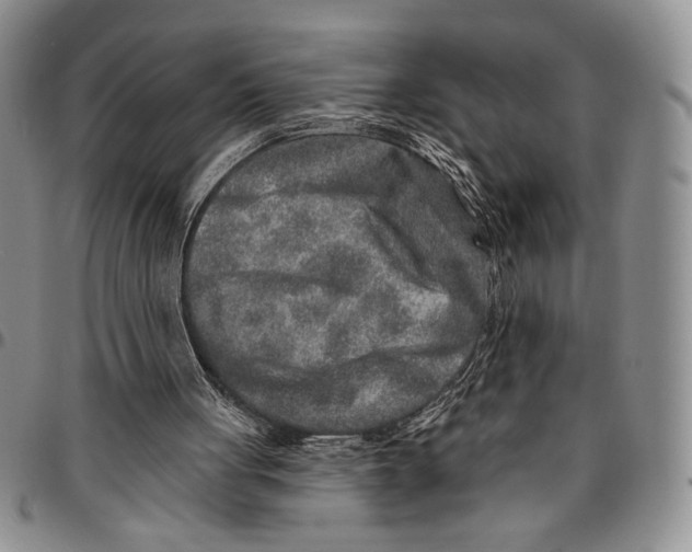 X0000096660051200803041209