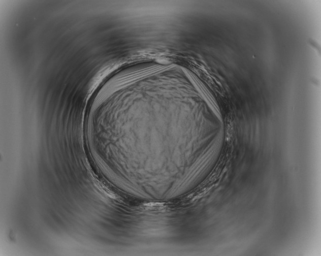 X0000096660052200803041209