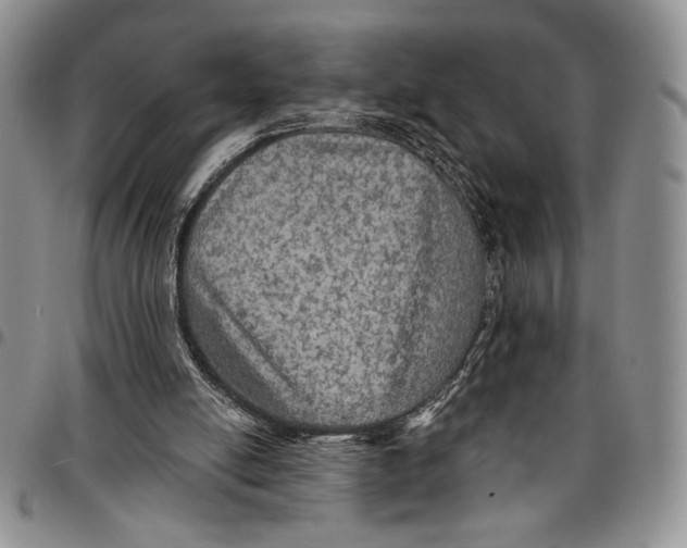 X0000096660054200803041209