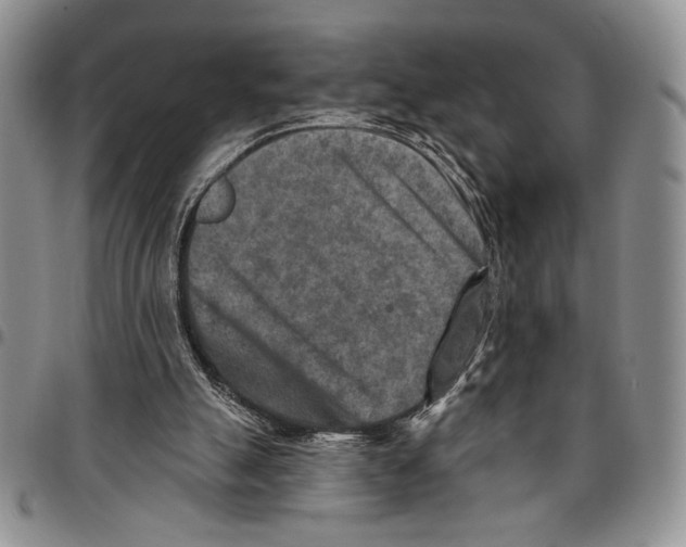 X0000096660055200803041209