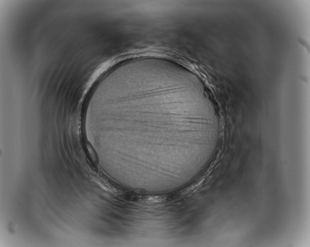 X0000096660056200803041209