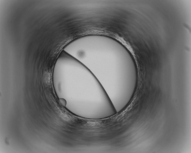 X0000096660057200803041209