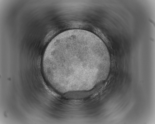 X0000096660058200803041209