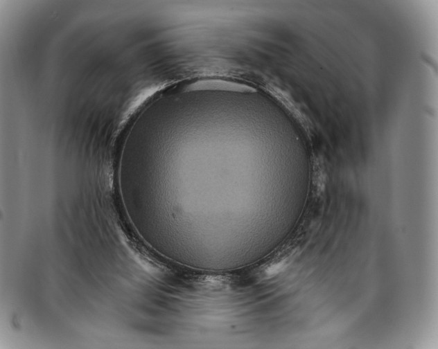 X0000096660060200803041209