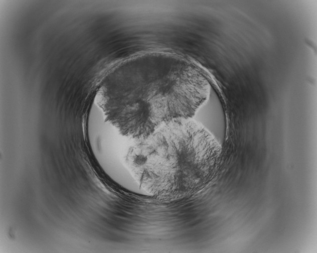 X0000096660061200803041209