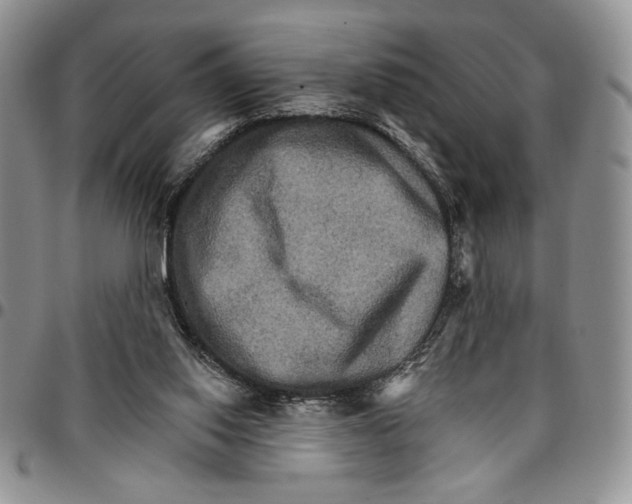 X0000096660062200803041209