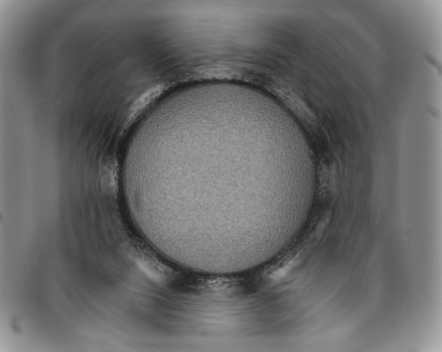 X0000096660064200803041209