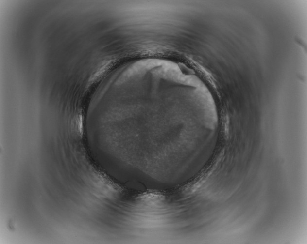 X0000096660067200803041209