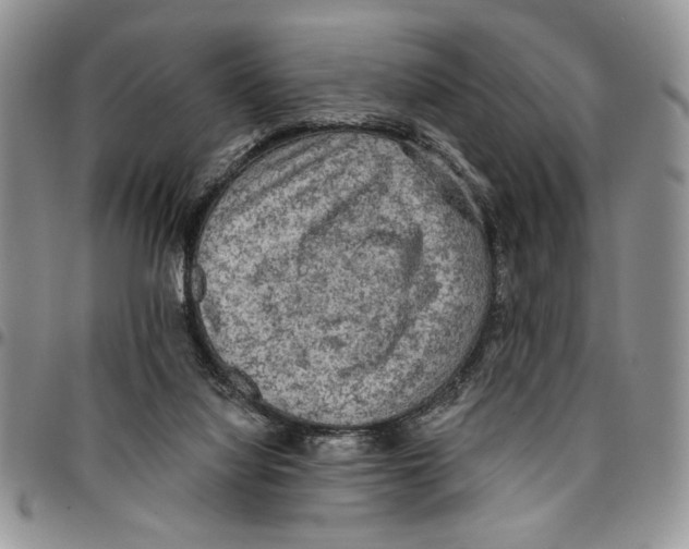 X0000096660068200803041209