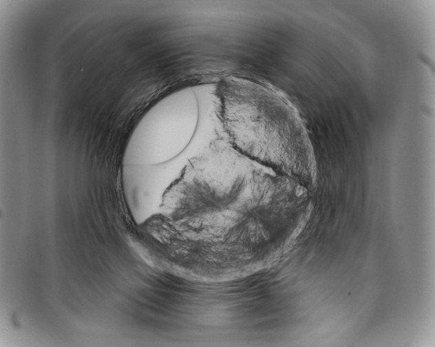 X0000096660069200803041209