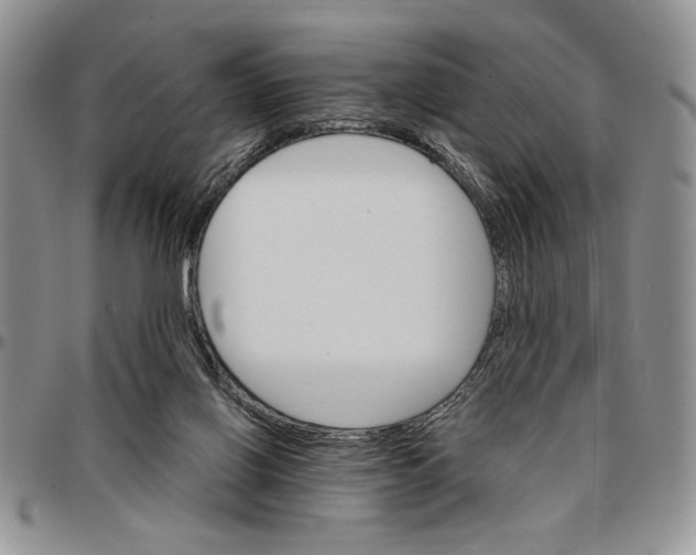 X0000096660070200803041209