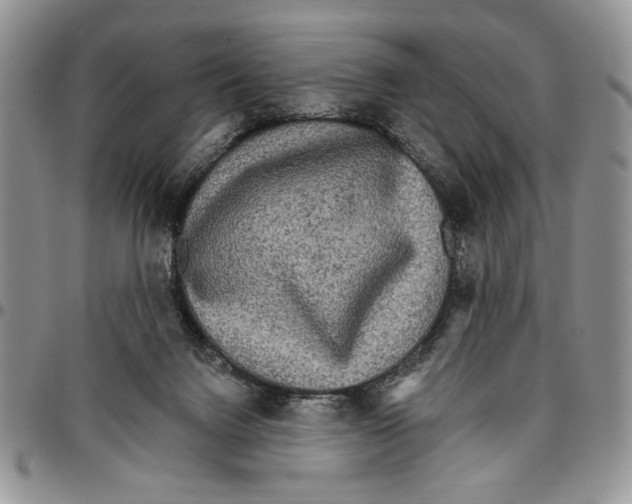 X0000096660072200803041209