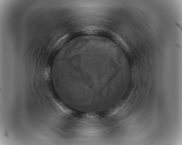 X0000096660073200803041209