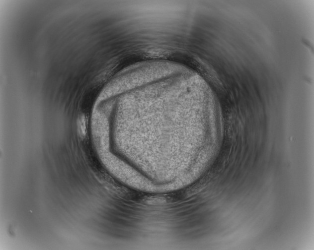 X0000096660075200803041209