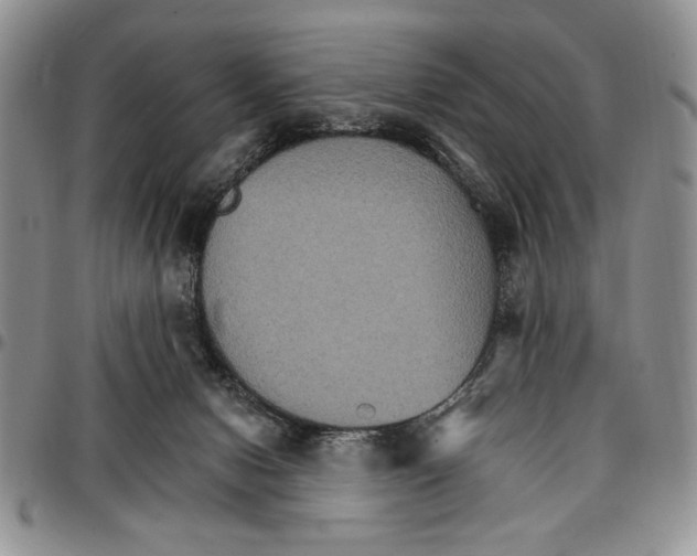 X0000096660078200803041209