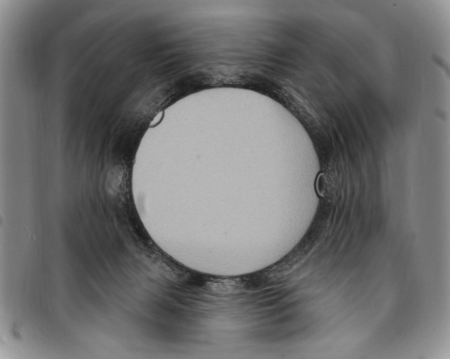 X0000096660079200803041209