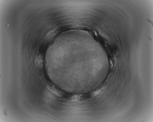 X0000096660080200803041209