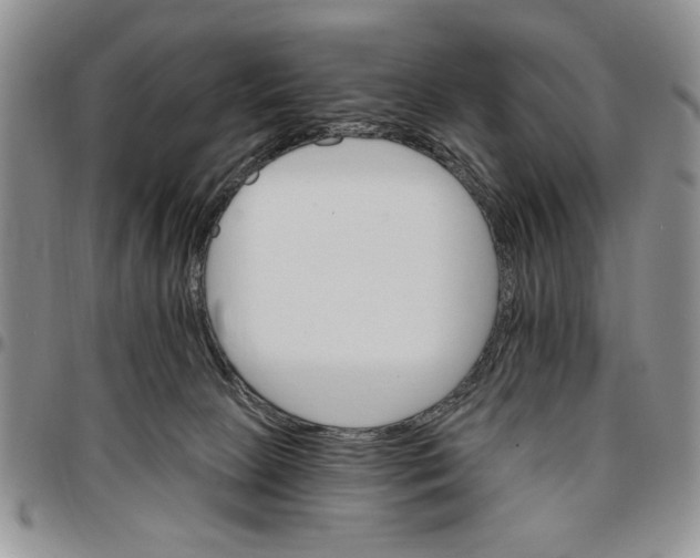 X0000096660081200803041209