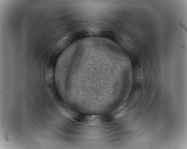 X0000096660082200803041209