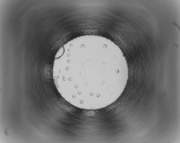 X0000096660083200803041209