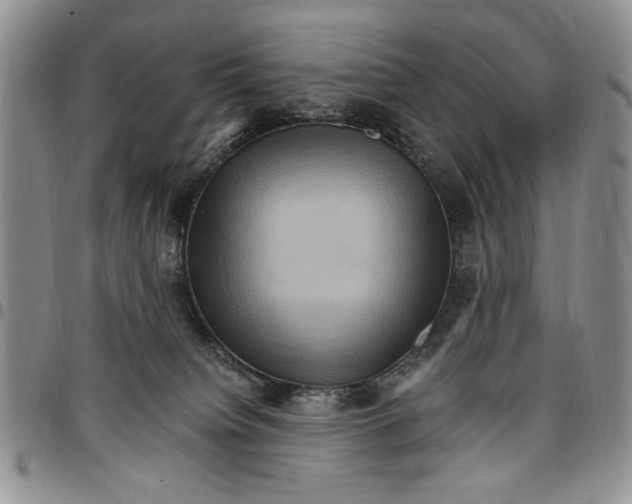 X0000096660084200803041209