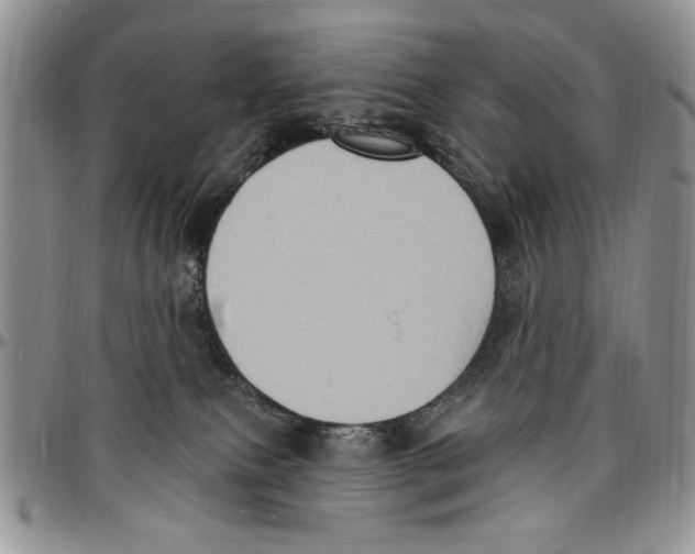 X0000096660087200803041209