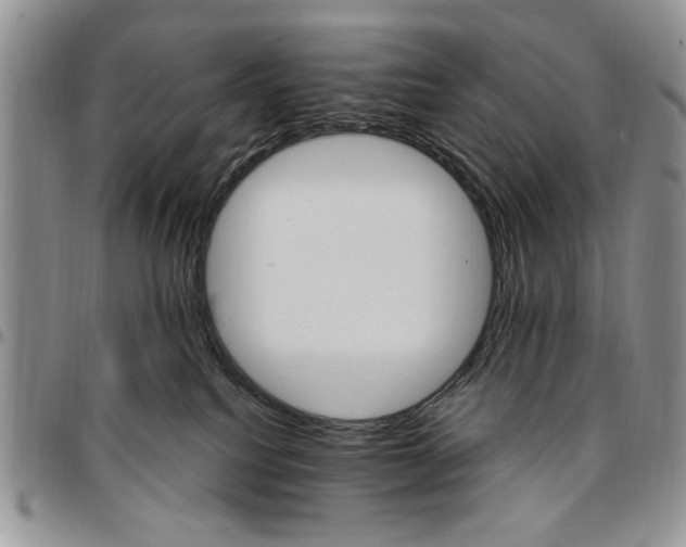 X0000096660088200803041209