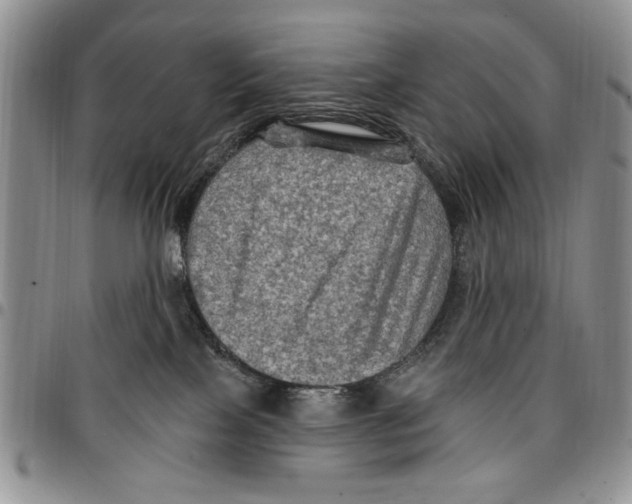 X0000096660089200803041209