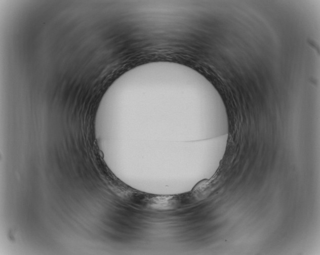 X0000096660090200803041209