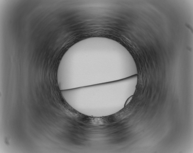 X0000096660091200803041209